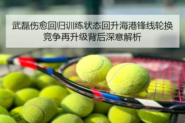 武磊伤愈回归训练状态回升海港锋线轮换竞争再升级背后深意解析